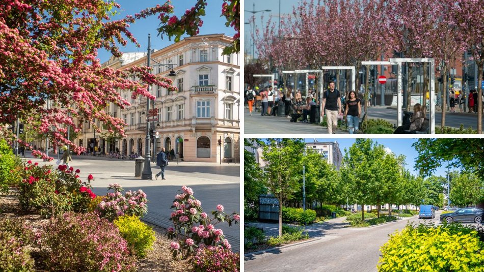 Łódź. Łódź weszła w lato na zielono! Tysiące nowych drzew, kwiaty i trawniki