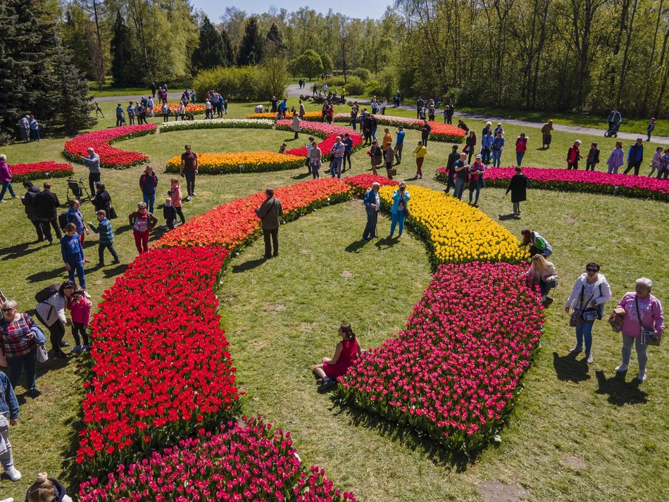 Ogród Botaniczny w Łodzi. Łodzianie na wyjątkowych zdjęciach z okazji 600. Urodzin! [ZDJĘCIA]