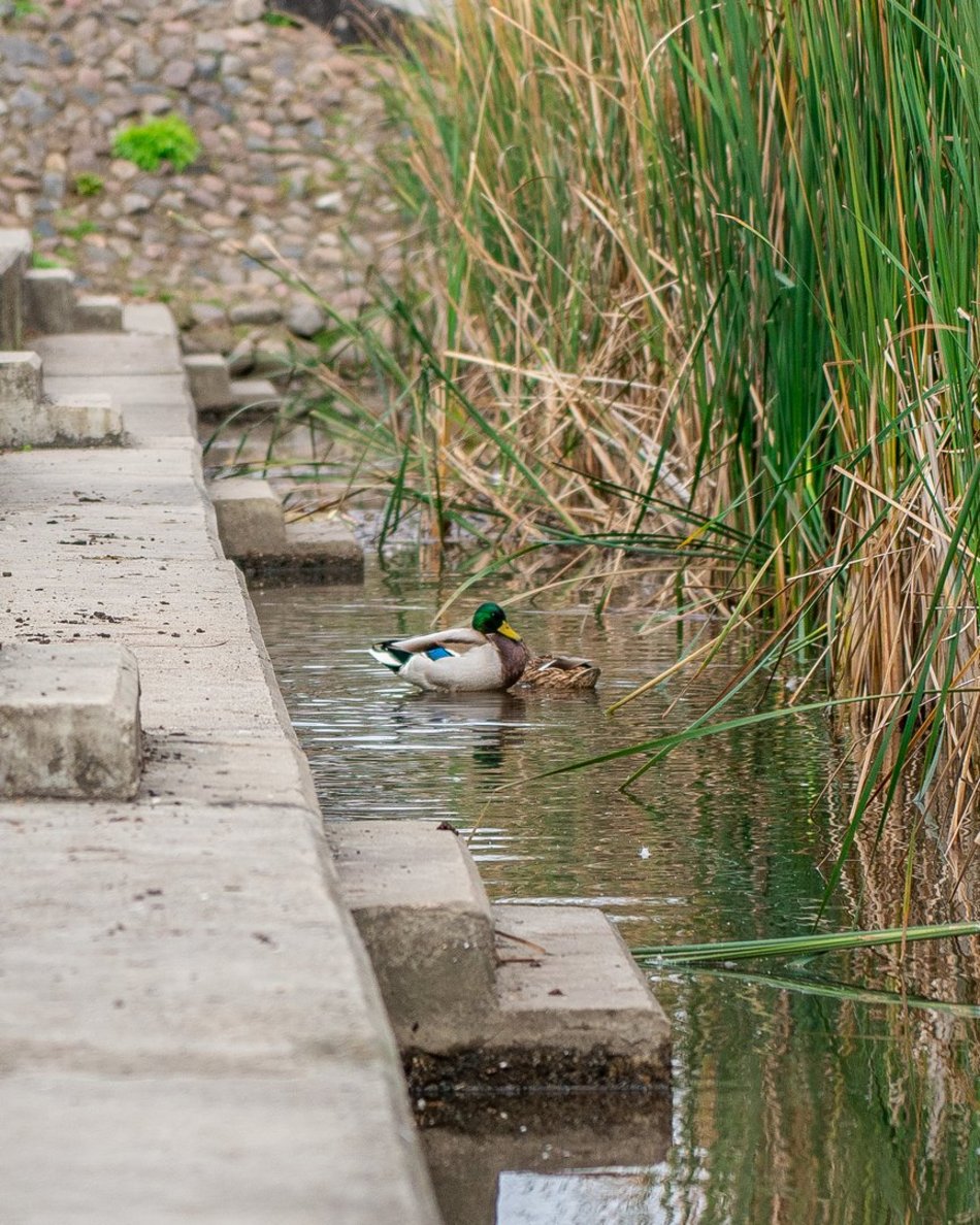 Park Ocalałych w Łodzi