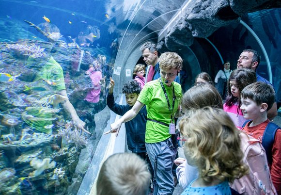 Zimowe półkolonie w Orientarium Zoo Łódź. Ruszają zapisy! 