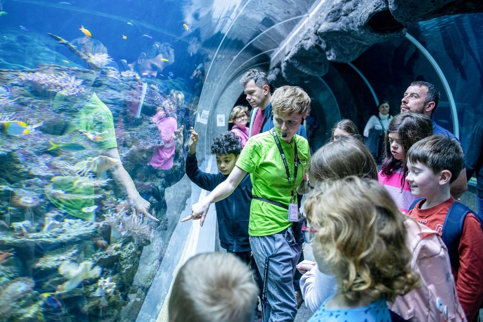 Zimowe półkolonie w Orientarium Zoo Łódź. Ruszają zapisy! 