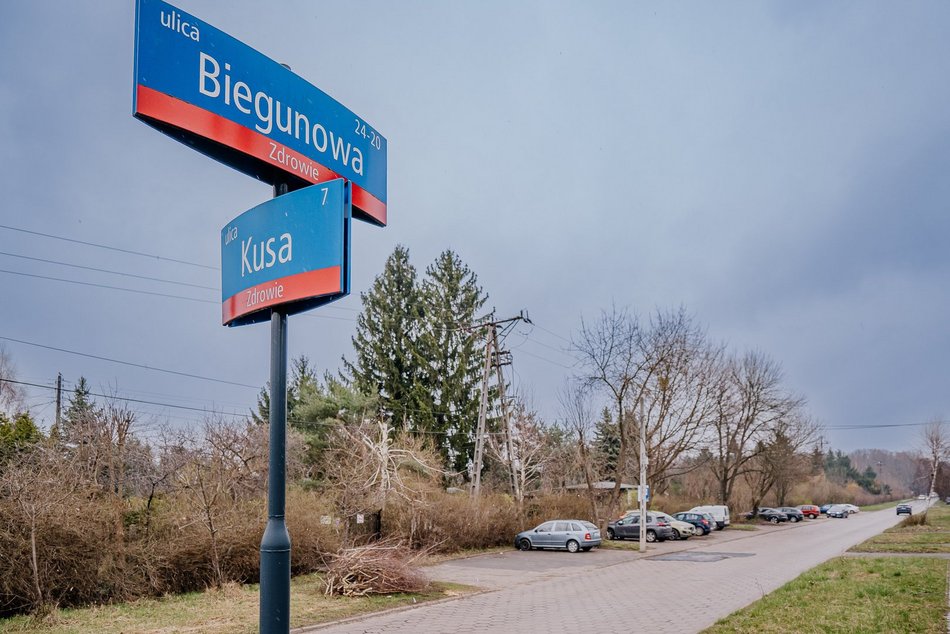 Ulica Biegunowa