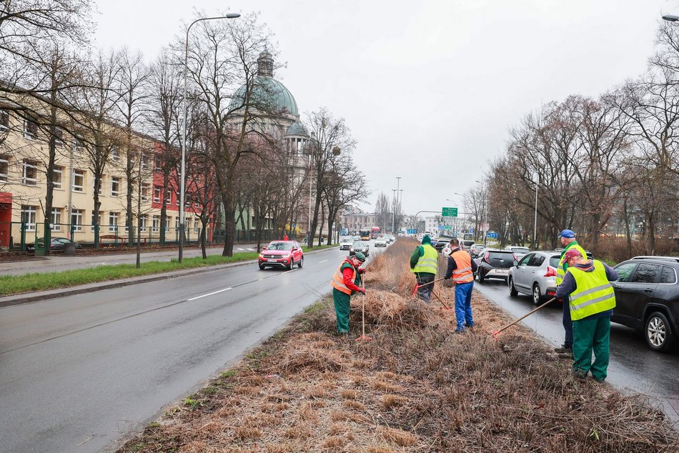 Tną trawy na Kopcińskiego w Łodzi. Wielkie przygotowania do wiosny