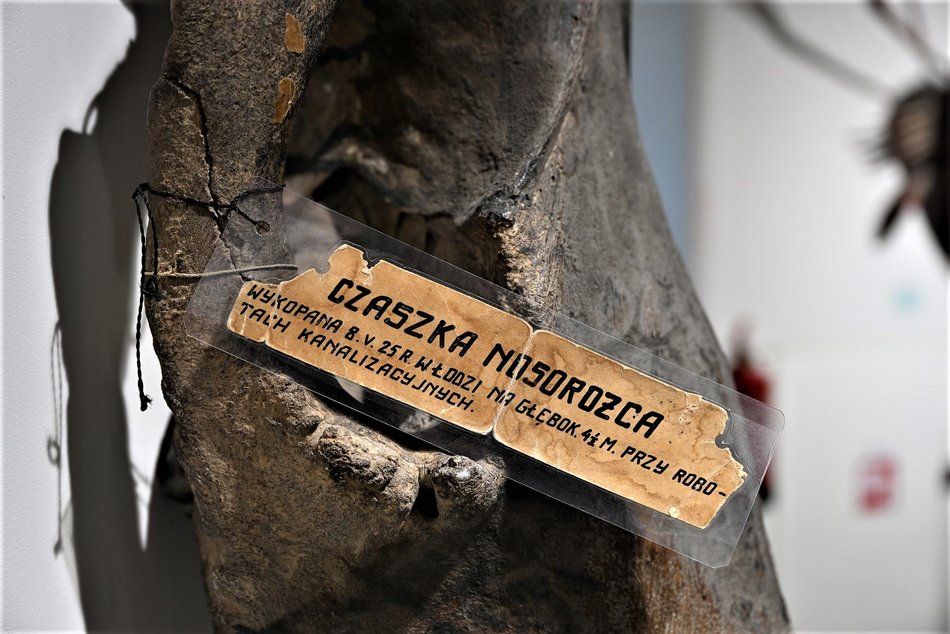 Łódź. Oryginalny opis znaleziska z 1925 roku