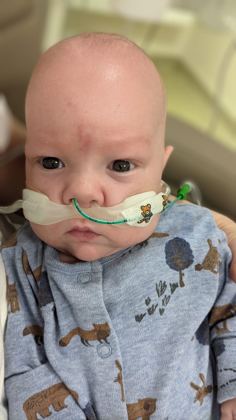 Łódź. Światowy Dzień Wcześniaka w Łodzi. Na zdjęciu Kordian, wcześniak urodzony w ICZMP w Łodzi