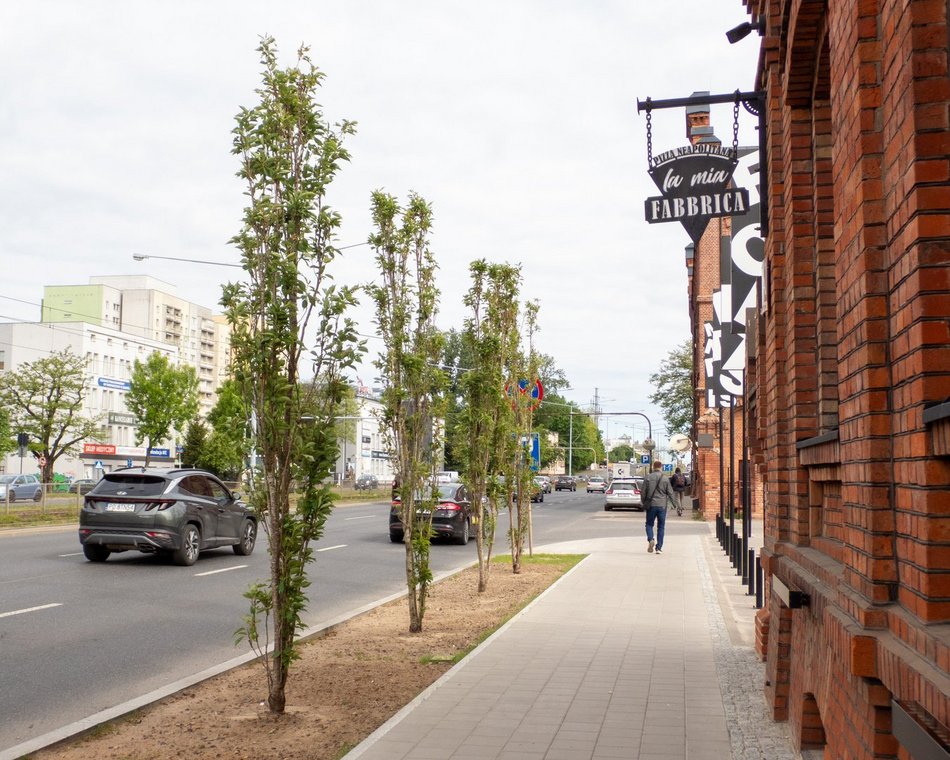 Łódź. Przy Monopolis w Łodzi jest coraz piękniej. Wspaniałe połączenie natury i nowoczesności