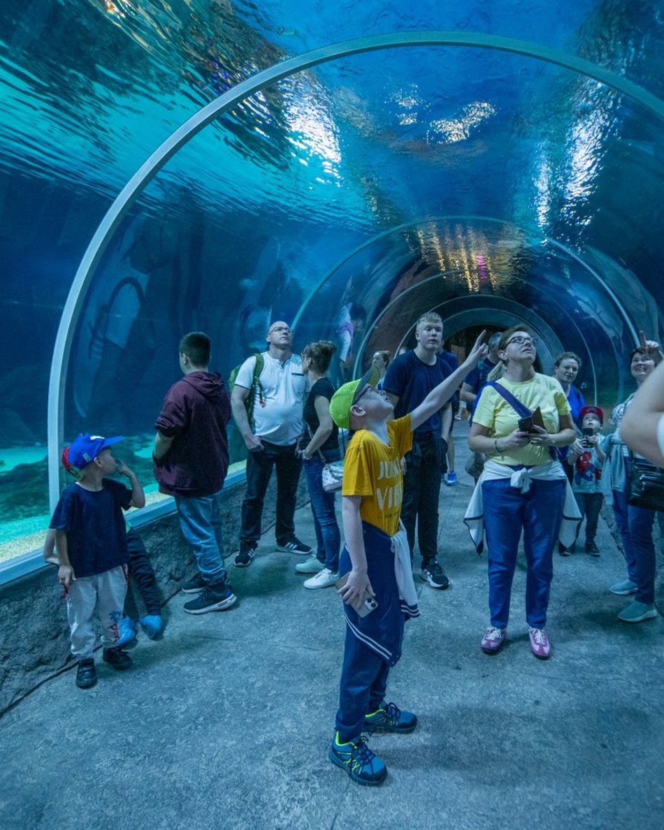 Łódź. Dzień Dziecka w Orientarium Zoo Łódź. Tylu atrakcji tam jeszcze nie było!