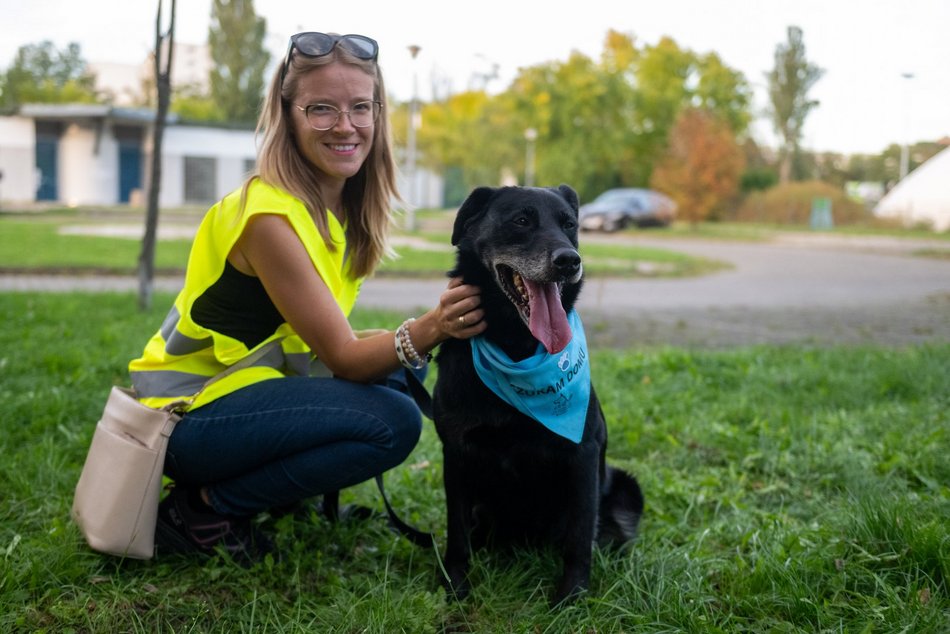 Łódź. Ostatni Psia Polówka w Łodzi za nami. Nic słodszego dziś nie zobaczysz!