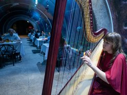 Łódź. Walentynki w Orientarium Zoo Łódź. Przysmaki, koncert na harfie i... zaręczyny