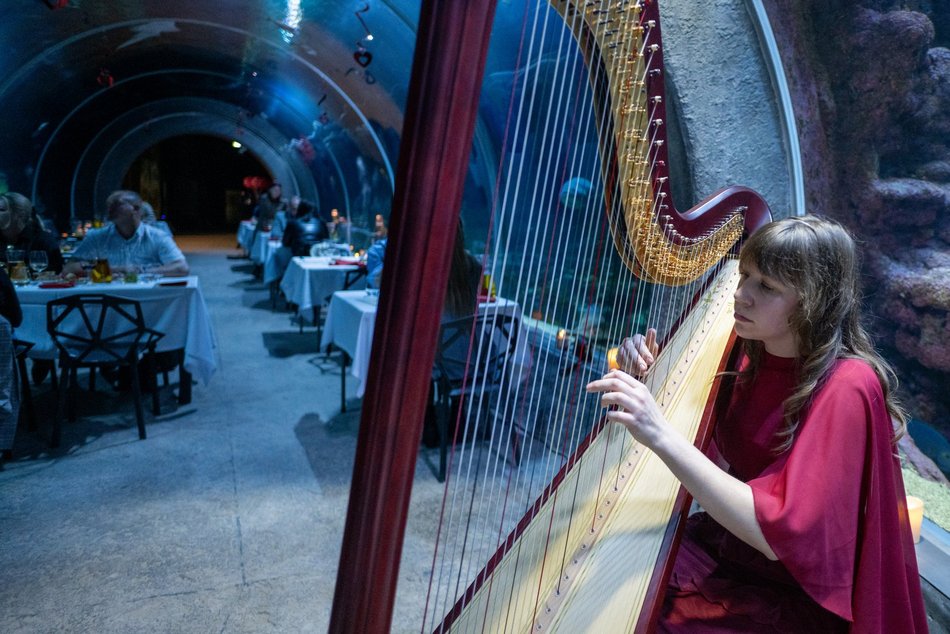 Łódź. Walentynki w Orientarium Zoo Łódź. Przysmaki, koncert na harfie i... zaręczyny