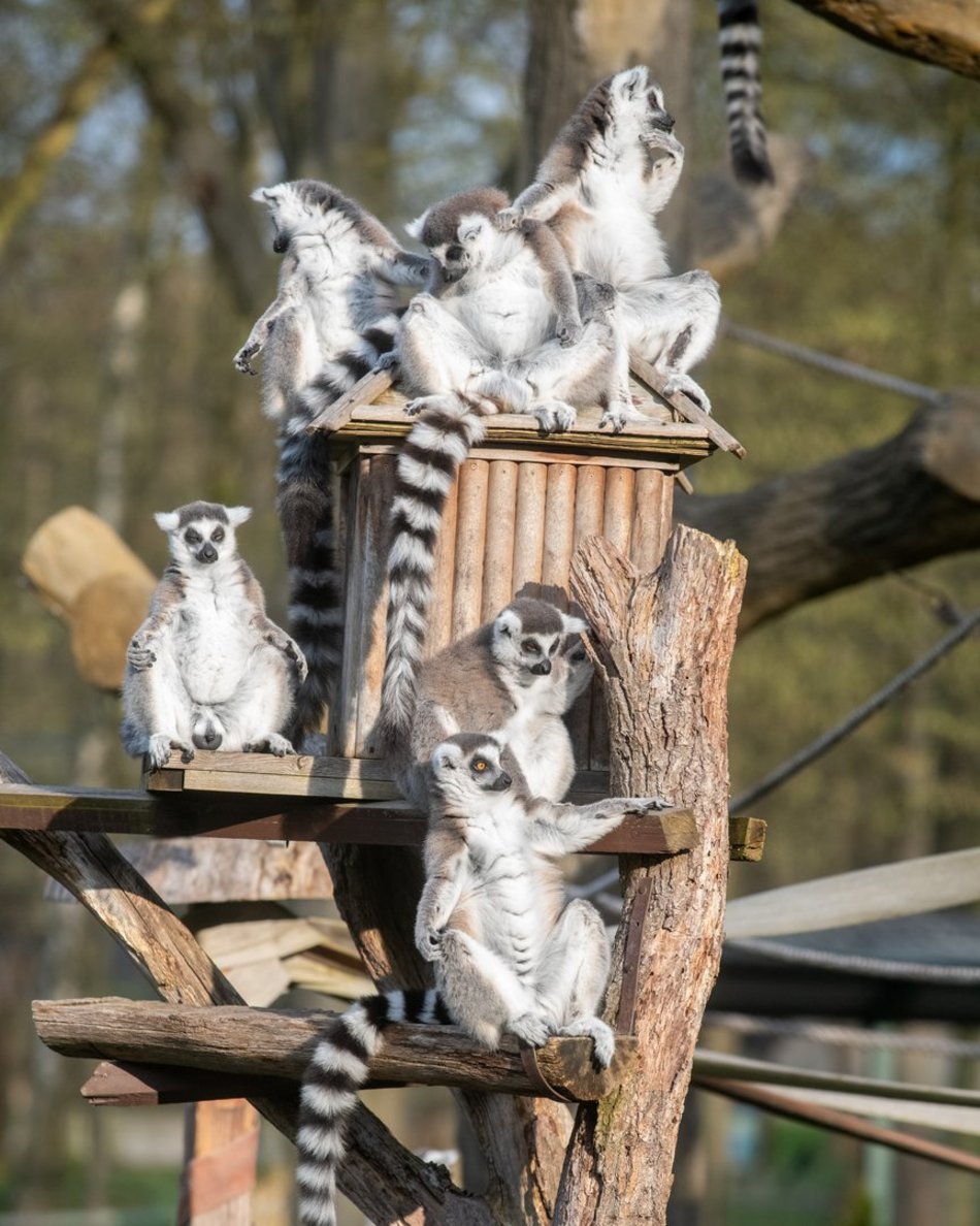 Orientarium Zoo Łódź