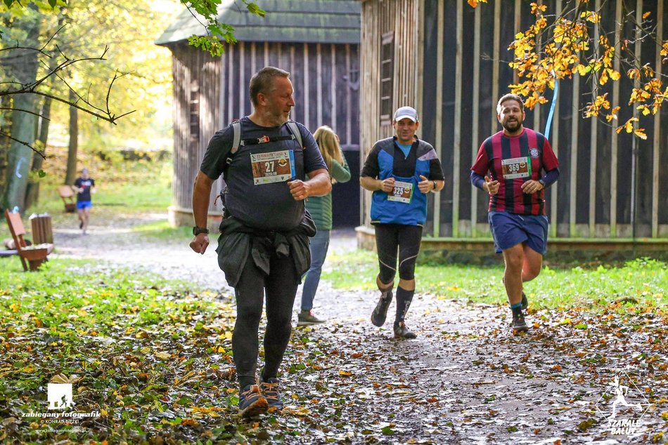 biegacze w lesie