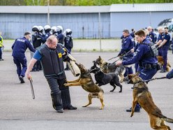 Łódź. Zwierzęta Straży Miejskiej na szkoleniu