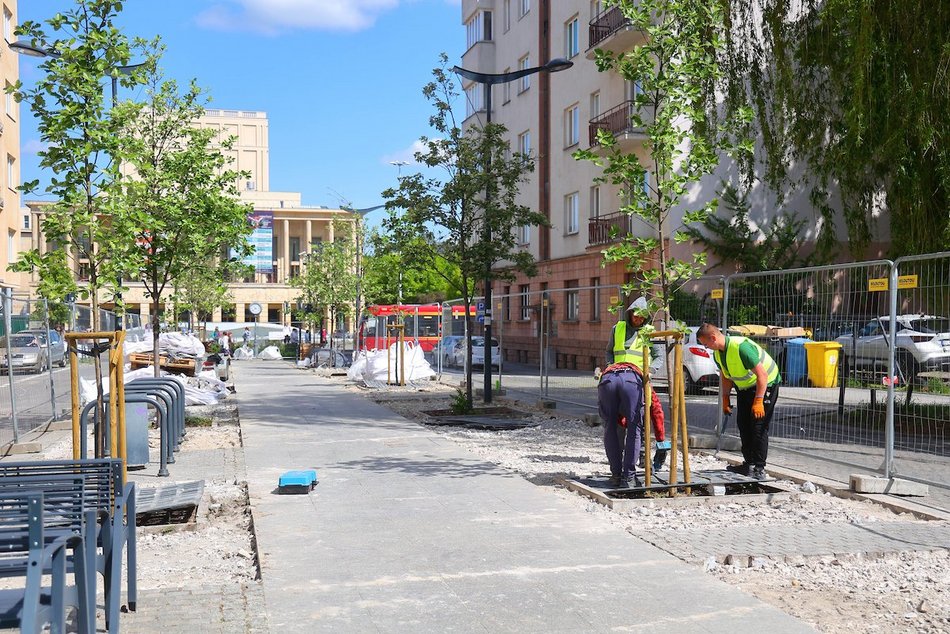 Łódź. Więcej zieleni w centrum! Zamiast betonu będą kolorowe byliny, krzewy i piękne rabaty