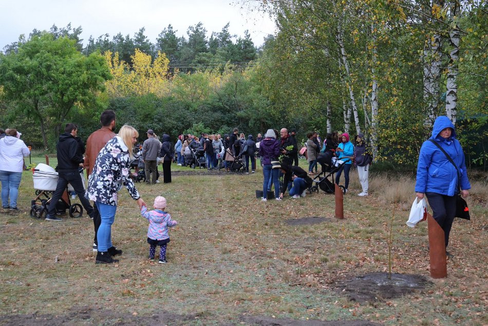 Rozrasta się Las Młodej Łodzi. Sadzenie drzew