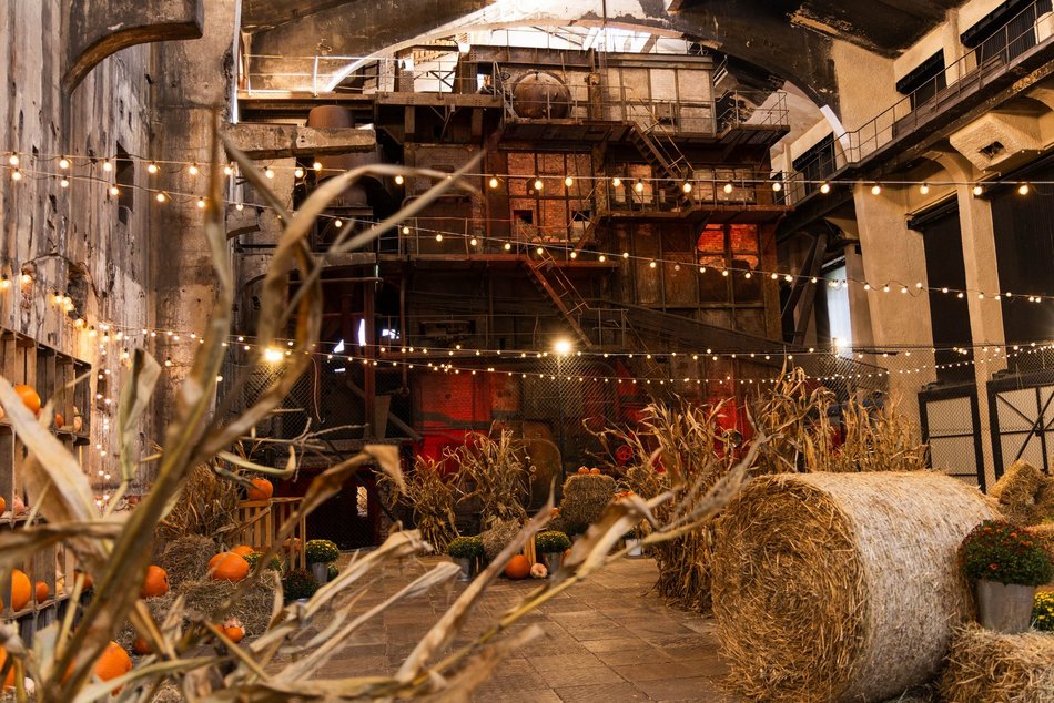 Łódź. Farma Dyń w Fuzji Łódź. Pozycja obowiązkowa na jesienną sesję fotograficzną! [ZDJĘCIA]