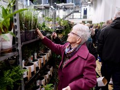 Łódź. Przyjdź na Festiwal Roślin w EC1 Łódź! Nowe gatunki, okazy kolekcjonerskie i więcej