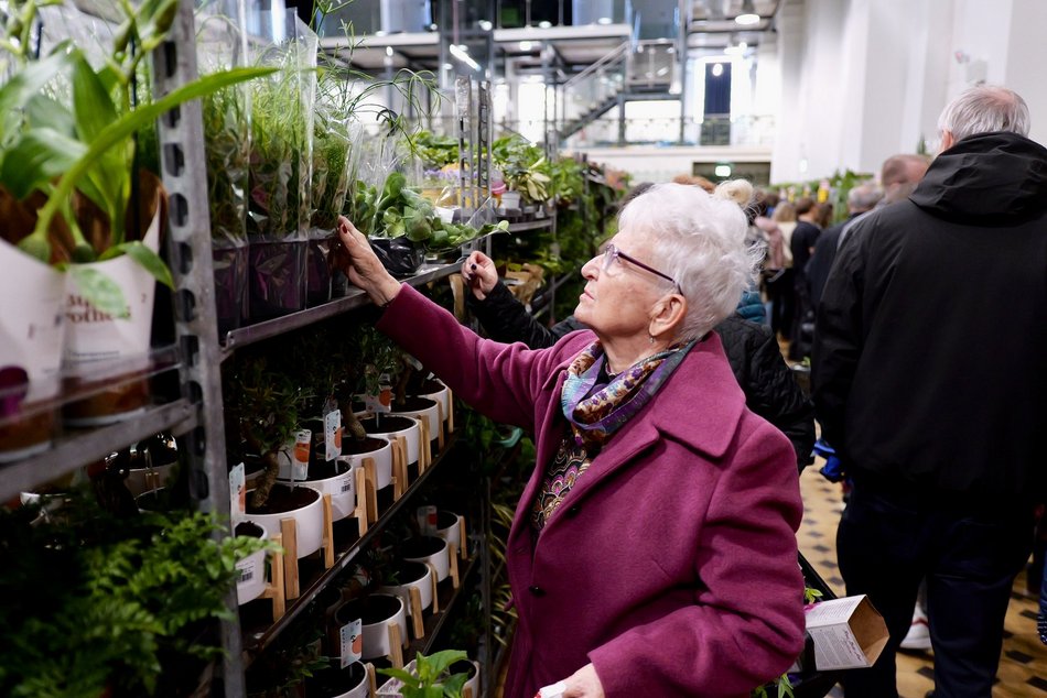 Łódź. Przyjdź na Festiwal Roślin w EC1 Łódź! Nowe gatunki, okazy kolekcjonerskie i więcej