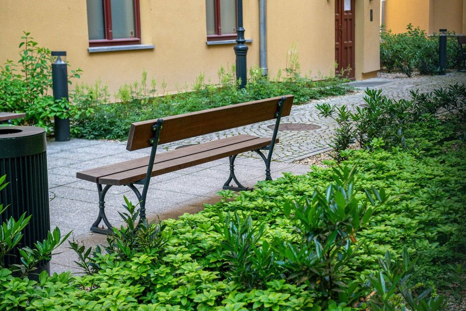 Wracamy na Mielczarskiego w Łodzi po remoncie. Ulica zachwyca zielenią i... spokojem!