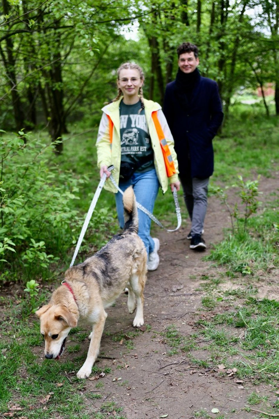 Łódź. Psy ze schroniska w Łodzi na spacerze z Łodzianami! Akcja "WYBIEGAJsŁODZIAKA" ma moc!
