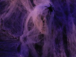 Łódź. Straszny Cyrk w Manufakturze w Łodzi. Wchodzisz tam na własną odpowiedzialność!