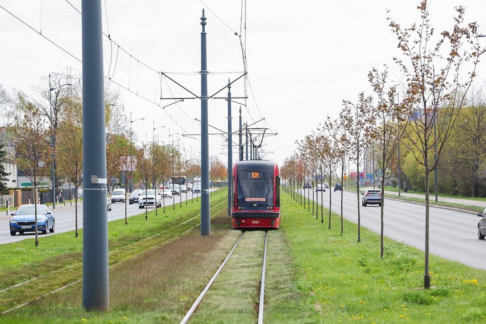 Łódź. Zielona trasa W-Z w Łodzi. Ponad 2 tysiące drzew kwitnie od Retkini po Olechów!