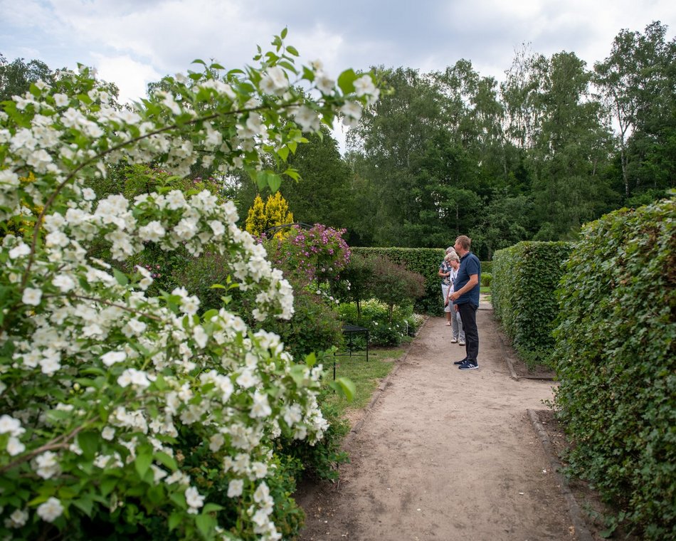 Ogród Fabrykanta w Ogrodzie Botanicznym w Łodzi