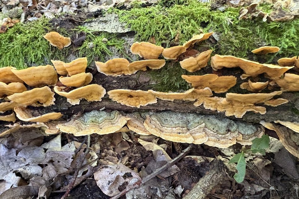 Wydarzenia w weekend w Łodzi