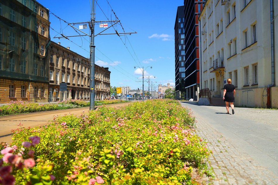 Łódź. Zieleń przy Bramie Miasta w Łodzi. Chwila oddechu w samym centrum