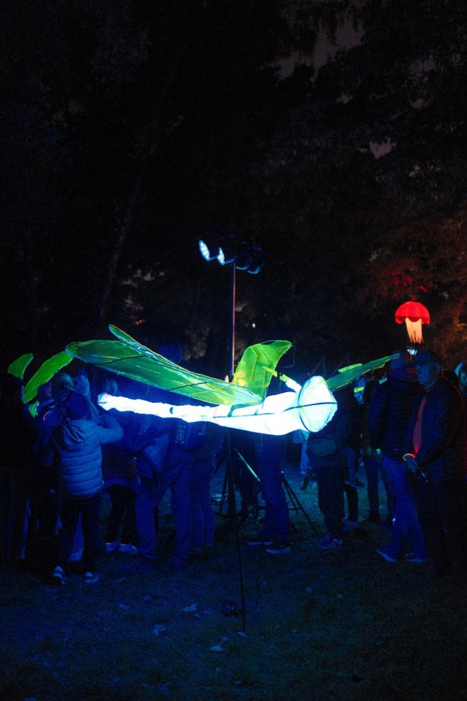 Byliście już w parku Sienkiewicza? Bajkowy świat Light Move Festival 2025 Łódź [ZDJĘCIA]