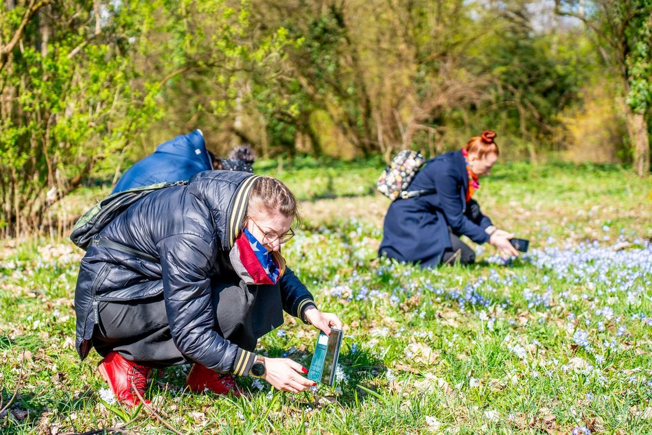 spacer w ogrodzie botanicznym