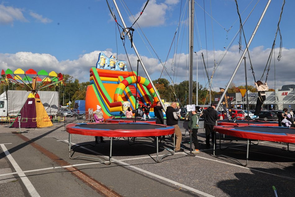 Farma Dyniowa w Pasażu Łódzkim