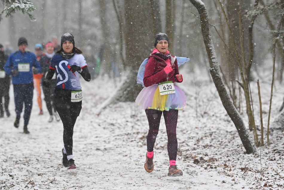 Łódź. Bieg Sylwestrowy 2025 w Łodzi. Znajdź się na zdjęciach z imprezy!