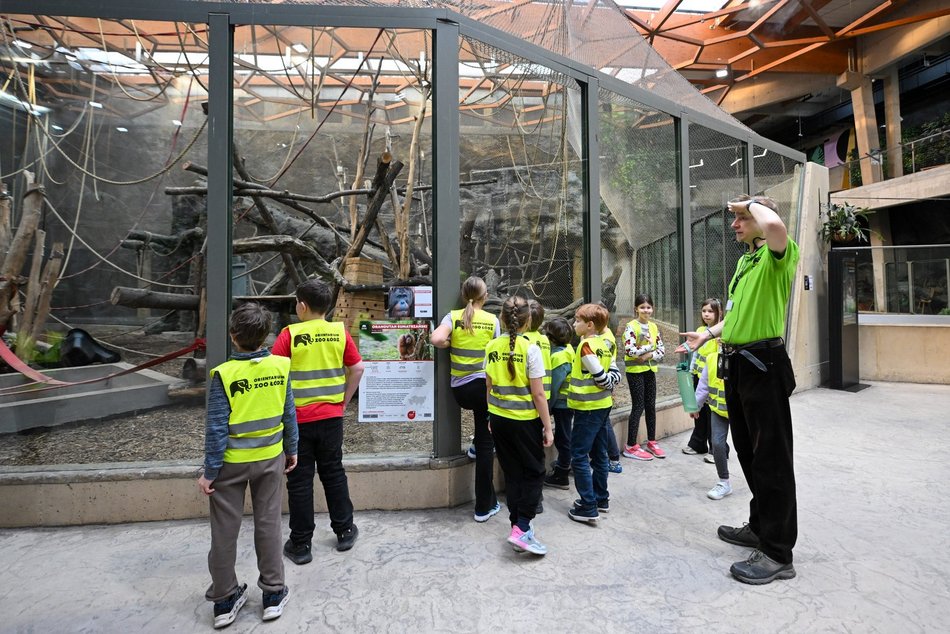 Łódź. Ferie zimowe 2026 w Orientarium Zoo Łódź