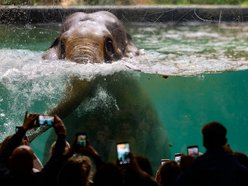 Łódź. Kwiecień w Orientarium Zoo Łódź. Nowe godziny otwarcia, darmowe zwiedzanie i więcej