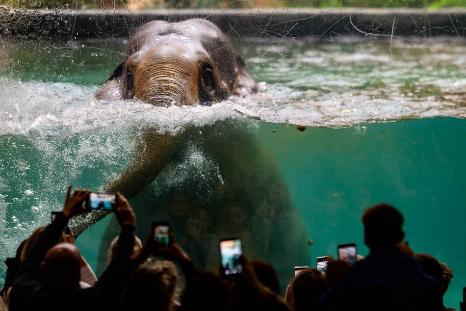 Łódź. Kwiecień w Orientarium Zoo Łódź. Nowe godziny otwarcia, darmowe zwiedzanie i więcej