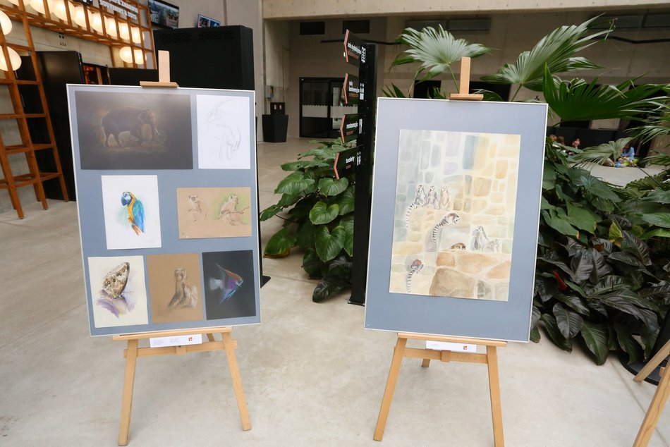 Wystawa prac plenerowych uczniów Państwowego Liceum Sztuk Plastycznych w Łodzi w Orientarium Zoo Łódź