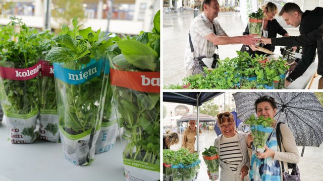 Światowy Dzień Recyklingu Baterii w Łodzi. Łodzianie za zużyte baterie dostali sadzonki! [ZDJĘCIA]