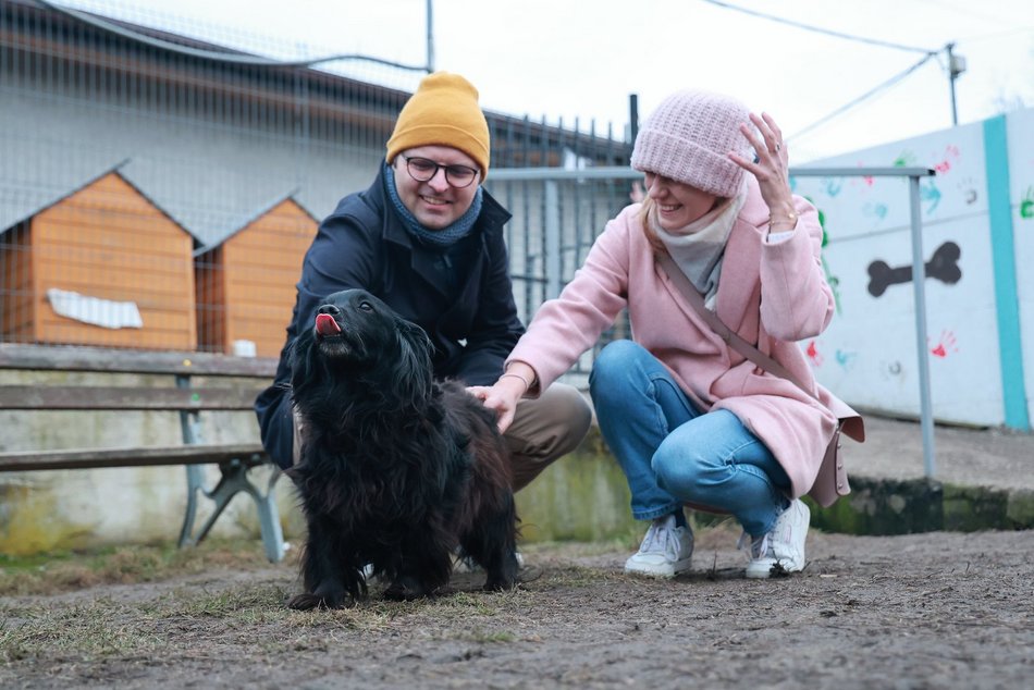 Skatowana suczka ze schroniska w Łodzi jedzie do domu