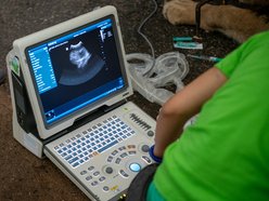 Los zwierząt nie jest Ci obojętny? Zostań przyjacielem Orientarium Zoo Łódź