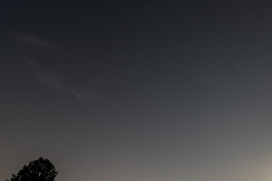Łódź. Co to był za wieczór! Noc spadających gwiazd w Ogrodzie Botanicznym w Łodzi