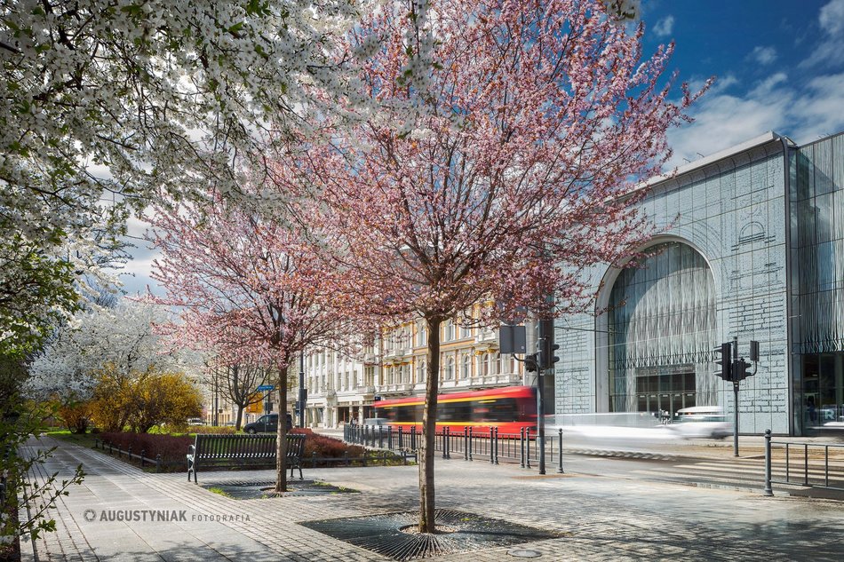 piękna fotografia pokazująca miasto Łódź