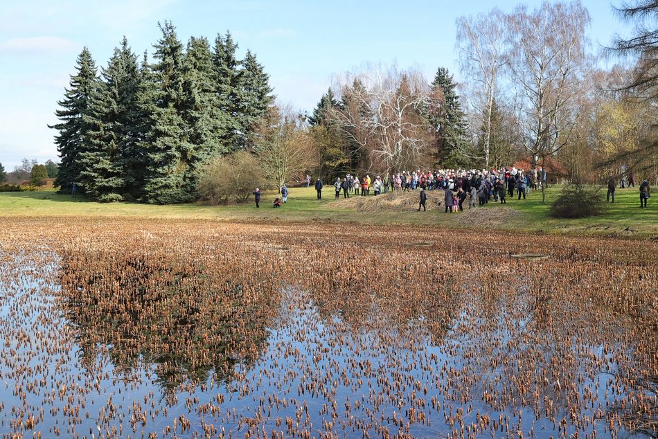 ogród botaniczny