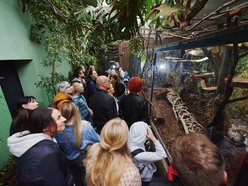 Noc Muzeów Łódź 2026 w Orientarium Zoo Łódź
