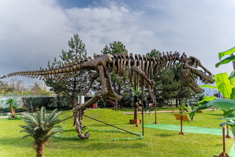 Dinopark w Porcie Łódź