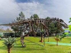 Dinopark w Porcie Łódź