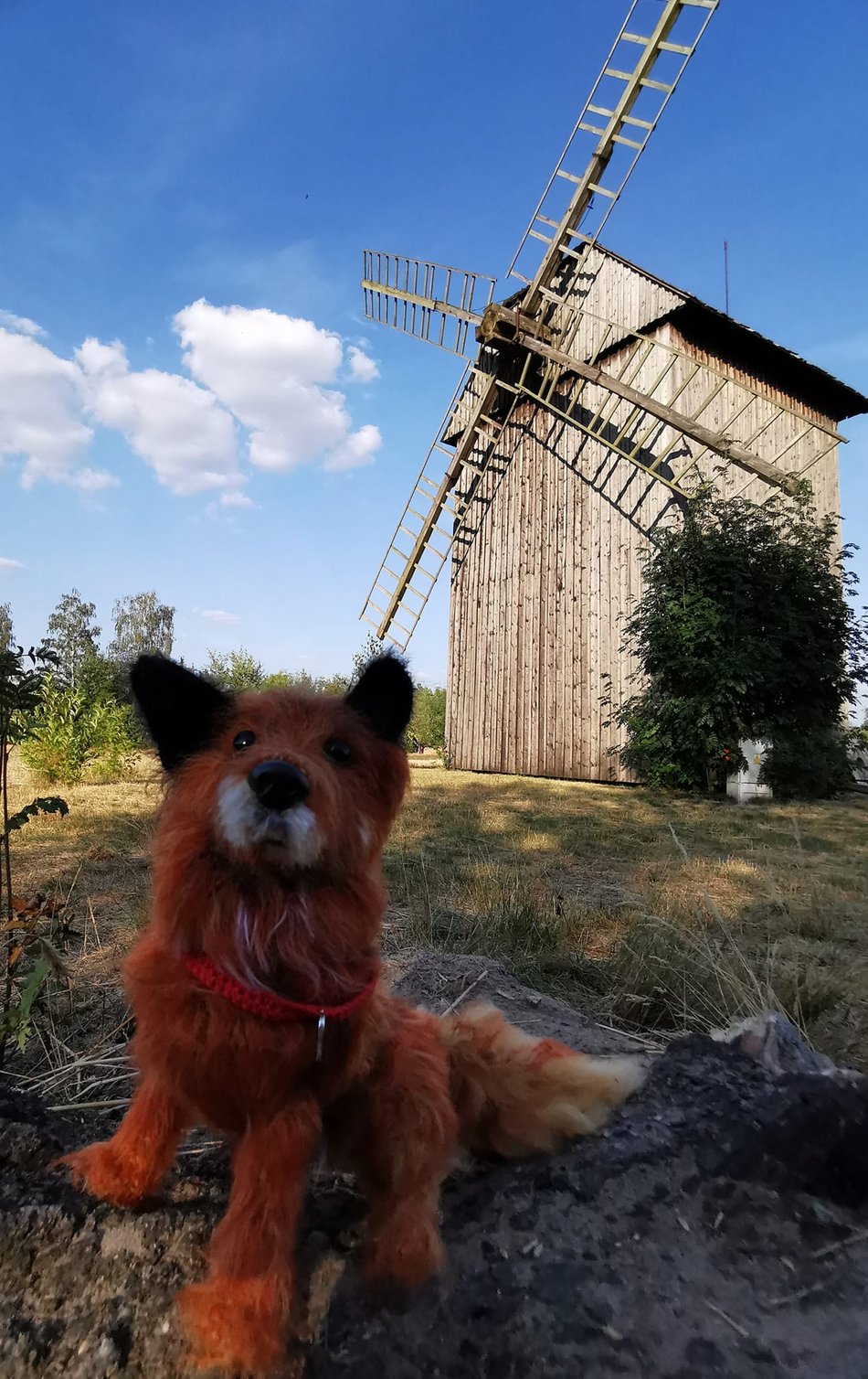 Elkapentelka - szydełkowe portrety zwierząt