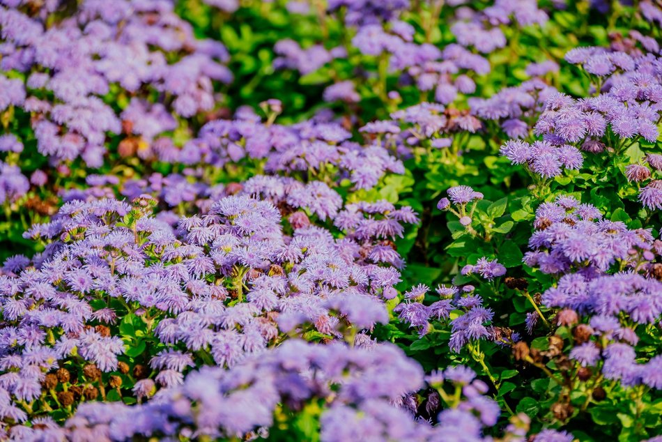 Łódź. Jesień w Ogrodzie Botanicznym w Łodzi. Tam z pewnością pokochasz tę porę roku!