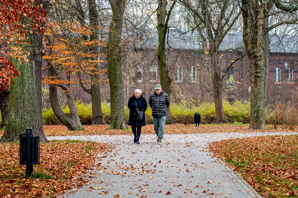 Łódź. Jesień w parku Źródliska
