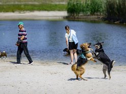Łódź. Psiejski spacer na Uroczysku Lublinek w Łodzi. Kolejna odsłona wyjątkowej inicjatywy